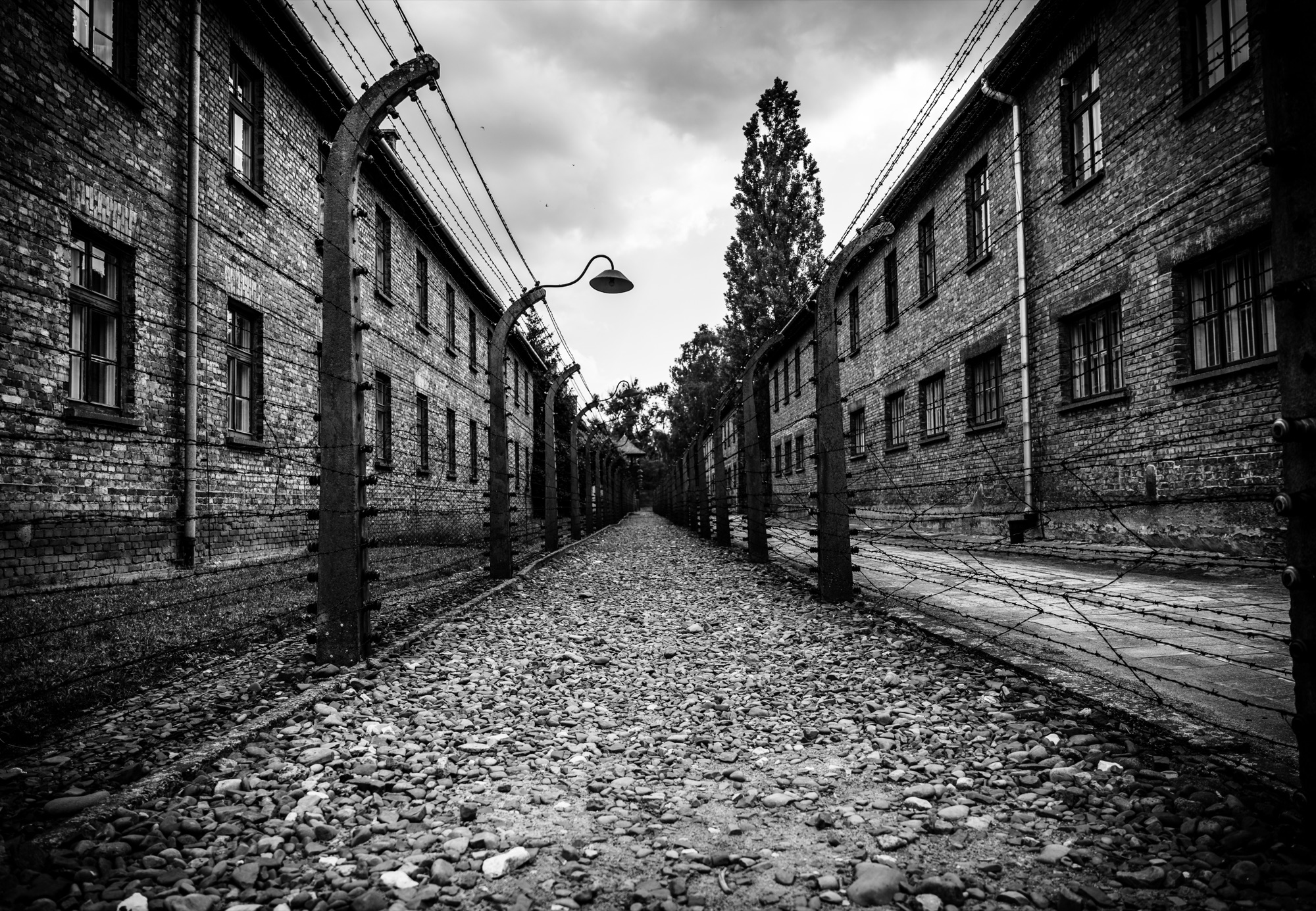 Auschwitz-Birkenau